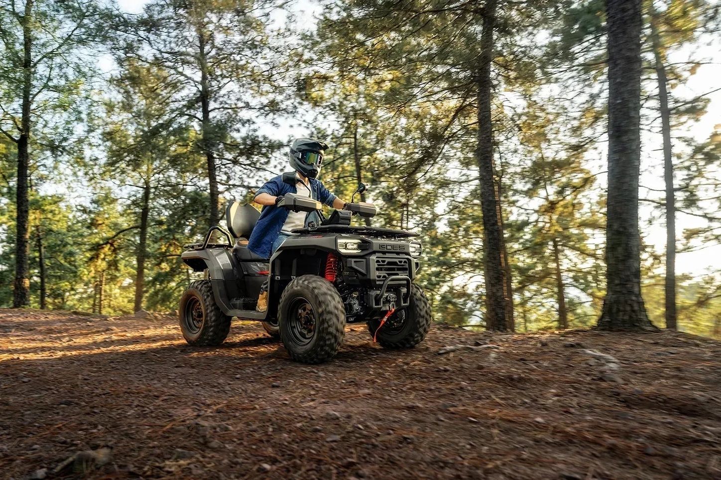 Квадроцикл GOES TERROX 550L EPS 2026  STEELCORE GREY